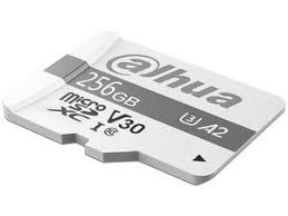 Dahua TF-P100/256GB kartica