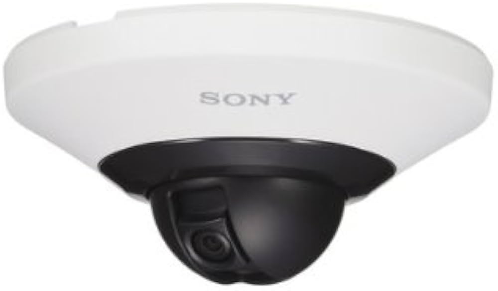 Sony SNC-DH110W Network kamera