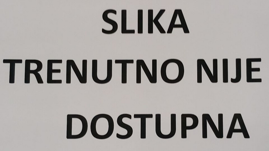 WesternSecurity BNC-5V Prenaponska zaštita Rasprodaja
